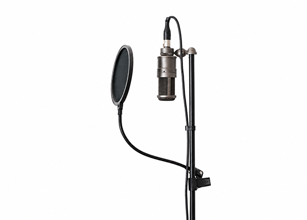 Dubbing Voice Over and Localization